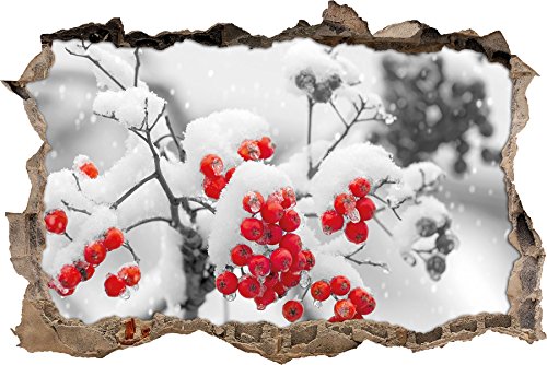 Pixxprint 3D_WD_4952_62x42 rote Vogelbeeren im Winter Wanddurchbruch 3D Wandtattoo, Vinyl, schwarz / weiß, 62 x 42 x 0,02 cm von Pixxprint