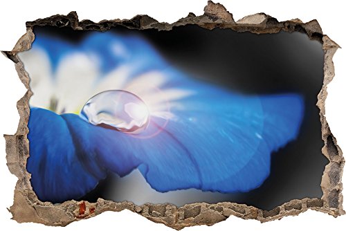 Pixxprint 3D_WD_4956_62x42 einsamer Wassertropfen auf blauer Blüte Wanddurchbruch 3D Wandtattoo, Vinyl, schwarz / weiß, 62 x 42 x 0,02 cm von Pixxprint