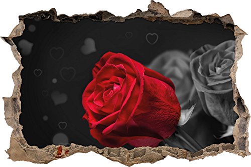 Pixxprint 3D_WD_4962_62x42 rote Rosen zum Valentinstag Wanddurchbruch 3D Wandtattoo, Vinyl, schwarz / weiß, 62 x 42 x 0,02 cm von Pixxprint
