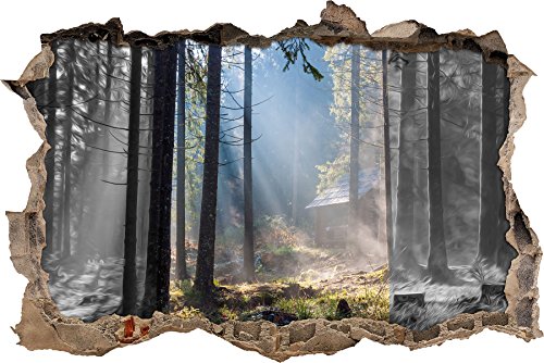 Pixxprint 3D_WD_4969_62x42 Häuschen im Wald mit Sonnenstrahlen Wanddurchbruch 3D Wandtattoo, Vinyl, schwarz / weiß, 62 x 42 x 0,02 cm von Pixxprint