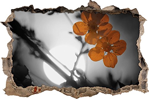 Pixxprint 3D_WD_4973_92x62 Kirschblüten am Baum vor der Sonne Wanddurchbruch 3D Wandtattoo, Vinyl, schwarz / weiß, 92 x 62 x 0,02 cm von Pixxprint