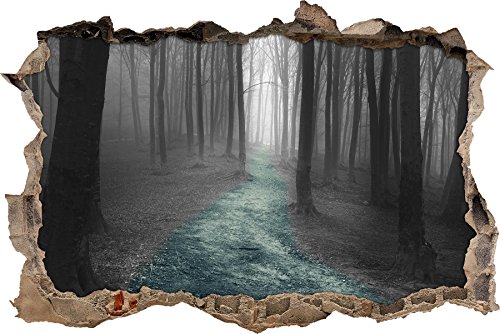 Pixxprint 3D_WD_4984_62x42 Einsamer Weg im Wald Wanddurchbruch 3D Wandtattoo, Vinyl, schwarz / weiß, 62 x 42 x 0,02 cm von Pixxprint