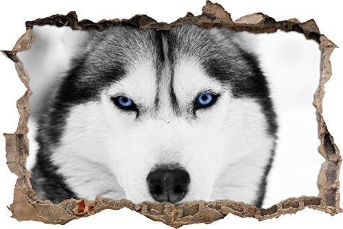 Pixxprint 3D_WD_5006_62x42 Husky mit blauen Augen Wanddurchbruch 3D Wandtattoo, Vinyl, schwarz / weiß, 62 x 42 x 0,02 cm von Pixxprint