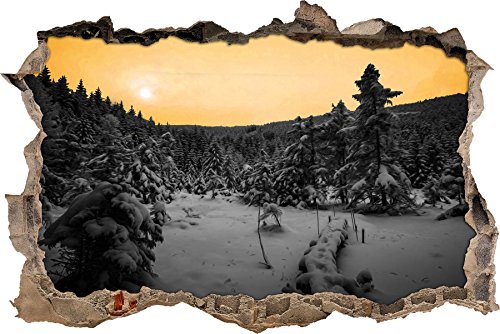 Pixxprint 3D_WD_5029_62x42 Wald im verschneiten Winter Wanddurchbruch 3D Wandtattoo, Vinyl, schwarz / weiß, 62 x 42 x 0,02 cm von Pixxprint
