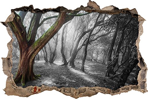 Pixxprint 3D_WD_5063_62x42 einsamer Baum in tristem Grau Wanddurchbruch 3D Wandtattoo, Vinyl, schwarz / weiß, 62 x 42 x 0,02 cm von Pixxprint