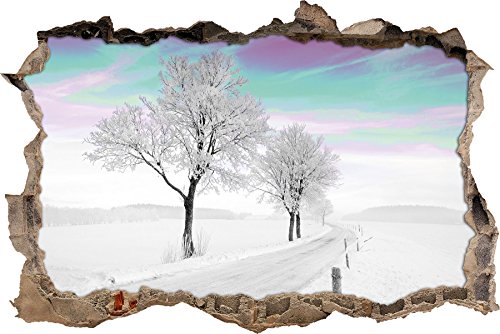 Pixxprint 3D_WD_5066_92x62 Schneebedeckter Baum in schöner Winterlandschaft Wanddurchbruch 3D Wandtattoo, Vinyl, schwarz / weiß, 92 x 62 x 0,02 cm von Pixxprint