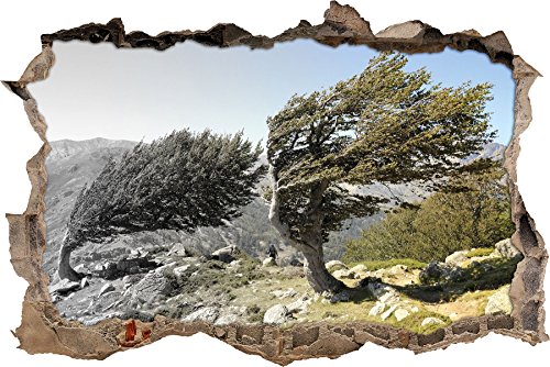 Pixxprint 3D_WD_5077_62x42 Alter Schiefer Baum in den Bergen Wanddurchbruch 3D Wandtattoo, Vinyl, schwarz / weiß, 62 x 42 x 0,02 cm von Pixxprint