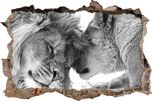 Pixxprint 3D_WD_5152_62x42 Bezauberndes kuschelndes Löwenpaar Wanddurchbruch 3D Wandtattoo, Vinyl, schwarz / weiß, 62 x 42 x 0,02 cm von Pixxprint
