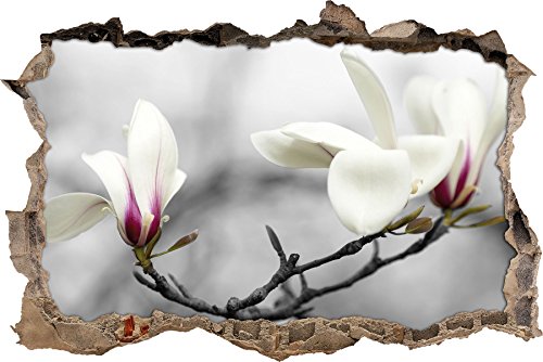 Pixxprint 3D_WD_5159_62x42 Weiße wunderschöne Magnolienblüten am Baum Wanddurchbruch 3D Wandtattoo, Vinyl, schwarz / weiß, 62 x 42 x 0,02 cm von Pixxprint