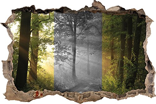 Pixxprint 3D_WD_5219_62x42 Ruhiger Waldweg im grünen Wanddurchbruch 3D Wandtattoo, Vinyl, schwarz / weiß, 62 x 42 x 0,02 cm von Pixxprint