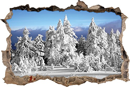 Pixxprint 3D_WD_5223_62x42 Winter Wunderland am späten Nachmittag Wanddurchbruch 3D Wandtattoo, Vinyl, schwarz / weiß, 62 x 42 x 0,02 cm von Pixxprint