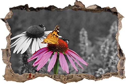 Pixxprint 3D_WD_5230_62x42 wunderschöner Schmetterling auf Kornblume Wanddurchbruch 3D Wandtattoo, Vinyl, schwarz / weiß, 62 x 42 x 0,02 cm von Pixxprint