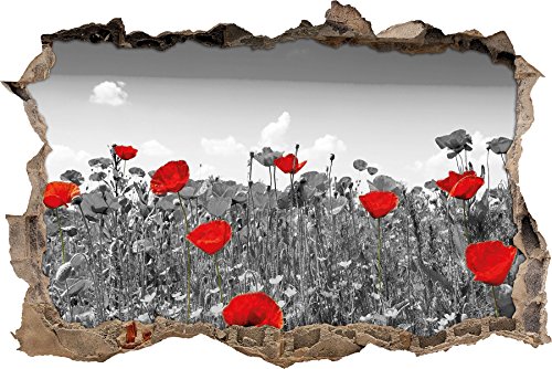 Pixxprint 3D_WD_5309_62x42 schöner rot leuchtender Mohn Wanddurchbruch 3D Wandtattoo, Vinyl, schwarz / weiß, 62 x 42 x 0,02 cm von Pixxprint
