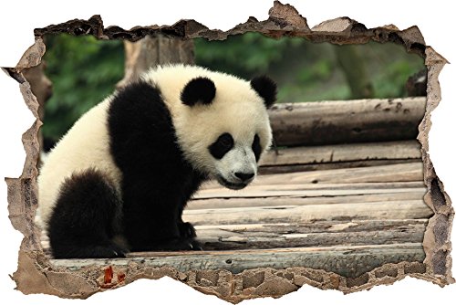 Pixxprint 3D_WD_S1061_62x42 niedlicher junger Panda sitzend auf Baumstämmen Wanddurchbruch 3D Wandtattoo, Vinyl, bunt, 62 x 42 x 0,02 cm von Pixxprint