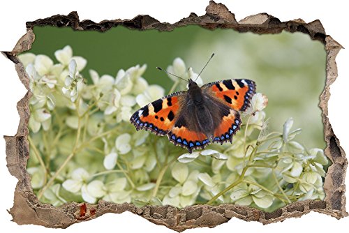Pixxprint 3D_WD_S1117_92x62 orangener Schmetterling auf weißer Blüte Wanddurchbruch 3D Wandtattoo, Vinyl, bunt, 92 x 62 x 0,02 cm von Pixxprint