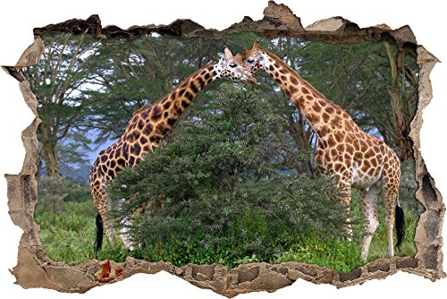 Pixxprint 3D_WD_S1146_92x62 schmusendes Giraffenpaar Wanddurchbruch 3D Wandtattoo, Vinyl, bunt, 92 x 62 x 0,02 cm von Pixxprint