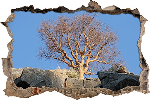 Pixxprint 3D_WD_S1260_62x42 gewaltiger Baum im Gebirge Wanddurchbruch 3D Wandtattoo, Vinyl, bunt, 62 x 42 x 0,02 cm von Pixxprint
