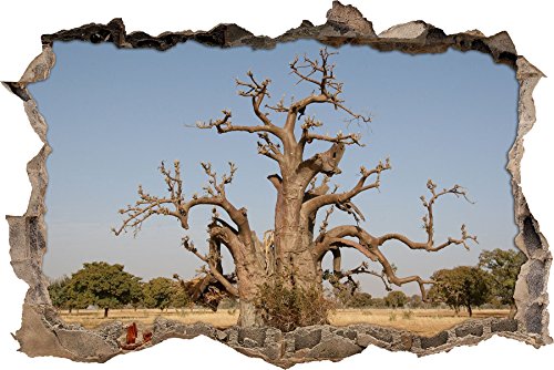 Pixxprint 3D_WD_S1280_62x42 außergewöhnlicher Baum in der Savanne Wanddurchbruch 3D Wandtattoo, Vinyl, bunt, 62 x 42 x 0,02 cm von Pixxprint