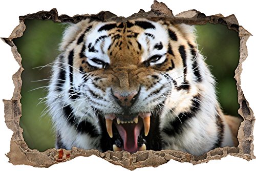 Pixxprint 3D_WD_S1450_62x42 brüllender Tiger Wanddurchbruch 3D Wandtattoo, Vinyl, bunt, 62 x 42 x 0,02 cm von Pixxprint