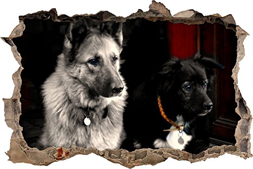 Pixxprint 3D_WD_S1559_62x42 zwei Hunde auf dem Teppich Wanddurchbruch 3D Wandtattoo, Vinyl, bunt, 62 x 42 x 0,02 cm von Pixxprint