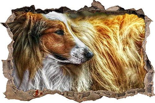 Pixxprint 3D_WD_S1663_92x62 schöner süßer Collie Wanddurchbruch 3D Wandtattoo, Vinyl, bunt, 92 x 62 x 0,02 cm von Pixxprint