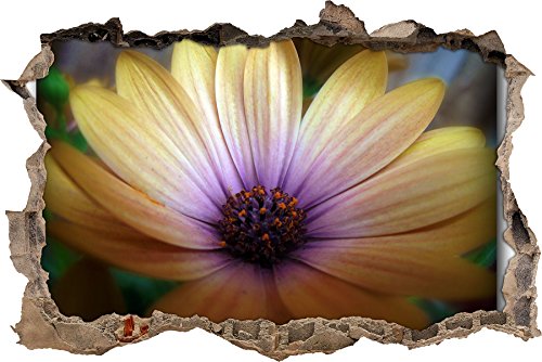 Pixxprint 3D_WD_S1666_62x42 exotische Blume Wanddurchbruch 3D Wandtattoo, Vinyl, bunt, 62 x 42 x 0,02 cm von Pixxprint