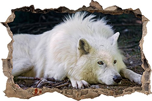 Pixxprint 3D_WD_S1768_92x62 liegender Polarwolf Wanddurchbruch 3D Wandtattoo, Vinyl, bunt, 92 x 62 x 0,02 cm von Pixxprint