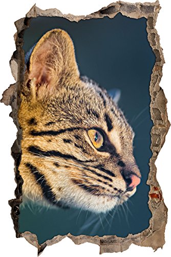 Pixxprint 3D_WD_S1789_62x42 anmutige Bengalkatze Wanddurchbruch 3D Wandtattoo, Vinyl, bunt, 62 x 42 x 0,02 cm von Pixxprint