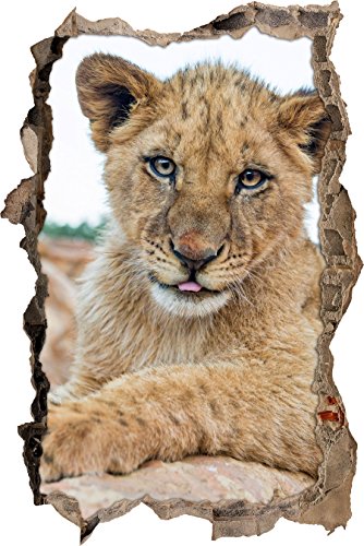 Pixxprint 3D_WD_S1822_92x62 niedliches Löwenjunges in der Wildnis Wanddurchbruch 3D Wandtattoo, Vinyl, bunt, 92 x 62 x 0,02 cm von Pixxprint