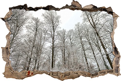 Pixxprint 3D_WD_S1902_62x42 schneebedeckter Wald im Winter Wanddurchbruch 3D Wandtattoo, Vinyl, bunt, 62 x 42 x 0,02 cm von Pixxprint