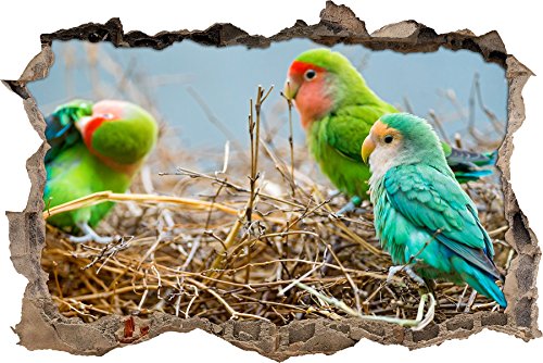 Pixxprint 3D_WD_S1934_62x42 bunte Papageien im Nest Wanddurchbruch 3D Wandtattoo, Vinyl, bunt, 62 x 42 x 0,02 cm von Pixxprint