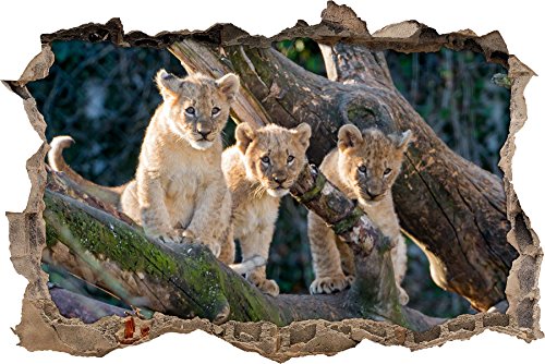 Pixxprint 3D_WD_S1957_92x62 spielende Löwenjunge auf Baum Wanddurchbruch 3D Wandtattoo, Vinyl, bunt, 92 x 62 x 0,02 cm von Pixxprint