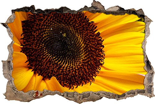 Pixxprint 3D_WD_S1978_92x62 zarte gelbe Sonnenblume Wanddurchbruch 3D Wandtattoo, Vinyl, bunt, 92 x 62 x 0,02 cm von Pixxprint