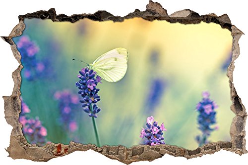 Pixxprint 3D_WD_S2050_62x42 kleiner Schmetterling auf schönem Lavendel Wanddurchbruch 3D Wandtattoo, Vinyl, bunt, 62 x 42 x 0,02 cm von Pixxprint