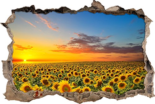 Pixxprint 3D_WD_S2053_62x42 wundervolles Sonnenblumenfeld beim Sonnenuntergang Wanddurchbruch 3D Wandtattoo, Vinyl, bunt, 62 x 42 x 0,02 cm von Pixxprint