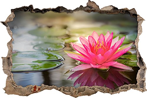 Pixxprint 3D_WD_S2059_62x42 zarte Seerose auf einem Teich Wanddurchbruch 3D Wandtattoo, Vinyl, bunt, 62 x 42 x 0,02 cm von Pixxprint