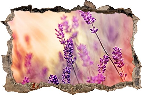 Pixxprint 3D_WD_S2073_62x42 wunderschöner Lavendel im Sonnenschein Wanddurchbruch 3D Wandtattoo, Vinyl, bunt, 62 x 42 x 0,02 cm von Pixxprint