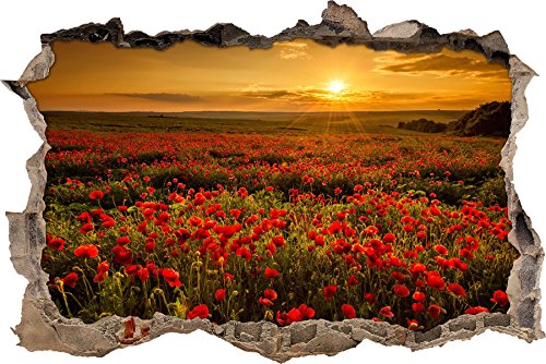 Pixxprint 3D_WD_S2285_62x42 riesiges Mohnblütenfeld bei schönem Sonnenuntergang Wanddurchbruch 3D Wandtattoo, Vinyl, bunt, 62 x 42 x 0,02 cm von Pixxprint