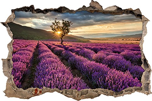 Pixxprint 3D_WD_S2286_92x62 schönes Lavendelfeld mit einzelnem Baum Wanddurchbruch 3D Wandtattoo, Vinyl, bunt, 92 x 62 x 0,02 cm von Pixxprint