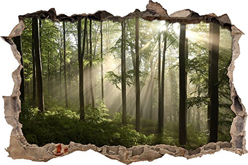 Pixxprint 3D_WD_S2415_62x42 atemberaubender Wald mit Sonnenstrahlen Wanddurchbruch 3D Wandtattoo, Vinyl, bunt, 62 x 42 x 0,02 cm von Pixxprint