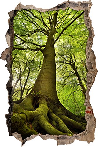 Pixxprint 3D_WD_S2434_62x42 gigantischer Baum im Wald Wanddurchbruch 3D Wandtattoo, Vinyl, bunt, 62 x 42 x 0,02 cm von Pixxprint
