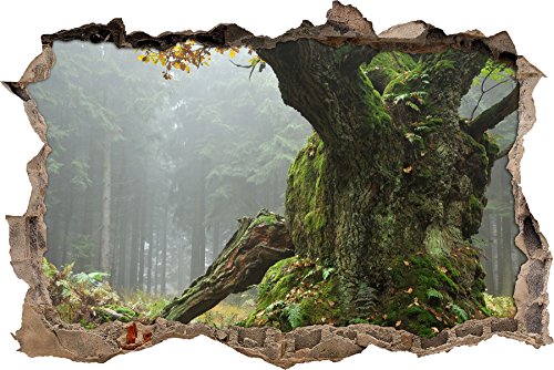 Pixxprint 3D_WD_S2438_62x42 gigantischer Baum mit Moos bedeckt Wanddurchbruch 3D Wandtattoo, Vinyl, bunt, 62 x 42 x 0,02 cm von Pixxprint