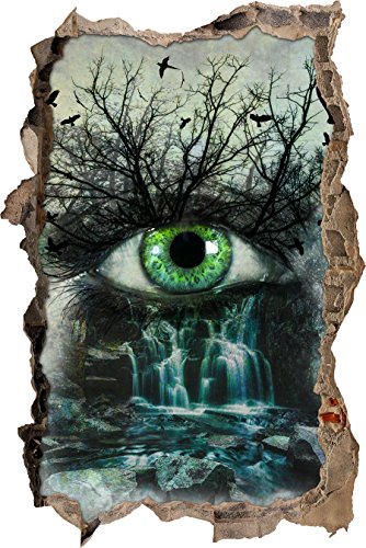 Pixxprint 3D_WD_S2456_92x62 beobachtendes Auge der Natur Wanddurchbruch 3D Wandtattoo, Vinyl, bunt, 92 x 62 x 0,02 cm von Pixxprint