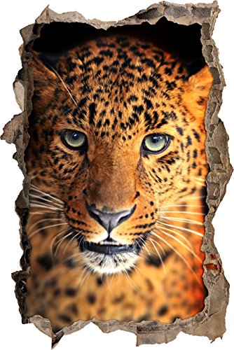 Pixxprint 3D_WD_S2576_62x42 neugieriger Leopard Wanddurchbruch 3D Wandtattoo, Vinyl, bunt, 62 x 42 x 0,02 cm von Pixxprint