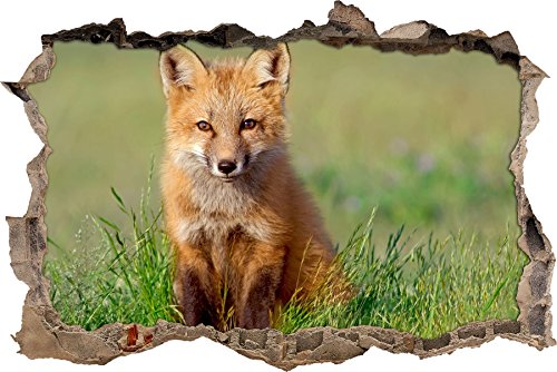 Pixxprint 3D_WD_S2638_92x62 junger Fuchs im Gras Wanddurchbruch 3D Wandtattoo, Vinyl, bunt, 92 x 62 x 0,02 cm von Pixxprint