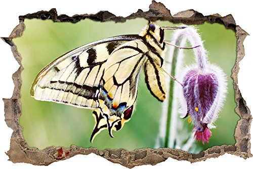 Pixxprint 3D_WD_S2668_92x62 wundervoller Schmetterling Schwalbenschwanz Wanddurchbruch 3D Wandtattoo, Vinyl, bunt, 92 x 62 x 0,02 cm von Pixxprint