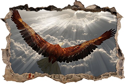 Pixxprint 3D_WD_S2670_62x42 prächtiger Adler im Himmel Wanddurchbruch 3D Wandtattoo, Vinyl, bunt, 62 x 42 x 0,02 cm von Pixxprint