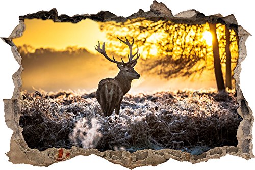 Pixxprint 3D_WD_S2688_62x42 prächtiger Hirsch im Wald Wanddurchbruch 3D Wandtattoo, Vinyl, bunt, 62 x 42 x 0,02 cm von Pixxprint