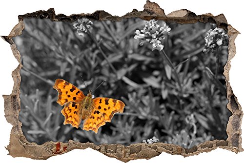 Pixxprint 3D_WD_S4127_62x42 wundervoller Schmetterling auf Wiese Wanddurchbruch 3D Wandtattoo, Vinyl, schwarz / weiß, 62 x 42 x 0,02 cm von Pixxprint