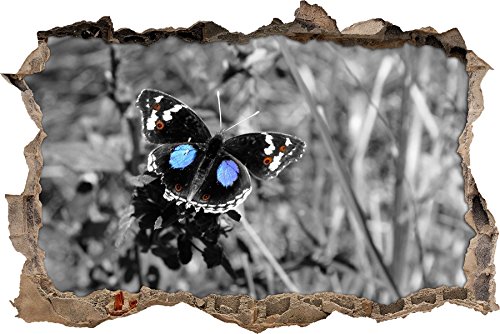 Pixxprint 3D_WD_S4391_62x42 exotischer Schmetterling auf Grashalm Wanddurchbruch 3D Wandtattoo, Vinyl, schwarz / weiß, 62 x 42 x 0,02 cm von Pixxprint